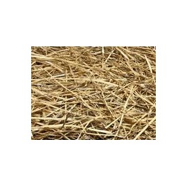 b082876psp AA Plus Shop 100% natural de paja de trigo hierba, auténtico heno de trigo natural-mascotascapitan-PerrosExpand child