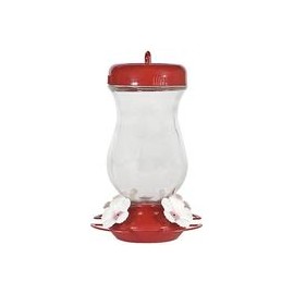 b071nbdqkp Perky Pet Colibrí alimentador de vidrio (24 oz Vida Como-mascotascapitan-PerrosExpand child menu