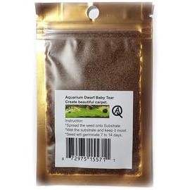 b07wjrvnv2 Acuario de agua dulce de plantas vivas Enano bebé lágrimas semillas en primer plano o alfombras en el tanque de peces