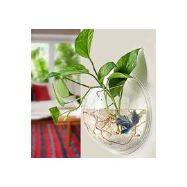 b0181rkygi Acuario de pared acrílico decorativo de 1 galón, 11.5 pulgadas. (dos modelos, solo tanque o tanque con LED)-mascotasc