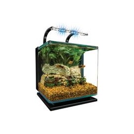 b00gofsb6u Acuario de vidrio con luces Marineland-mascotascapitan-PerrosExpand child menu