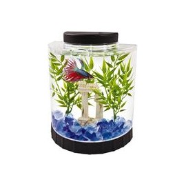 b007gcguuy Acuario tetra LED medialuna Betta, 1.1 galones-mascotascapitan-PerrosExpand child menu