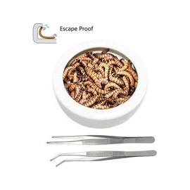 b07tx27tjp ADOGGYGO - Plato para gusanos con pinzas de alimentación, pequeño cuenco de agua para reptiles, a prueba de fugas, co