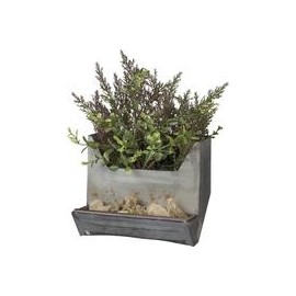 b07fltqgsz Primitives by Kathy - Comedero de pollo para mascotas-mascotascapitan-PerrosExpand child menu