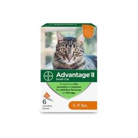 b004qn0mfk Advantage II prevención de pulgas para gatos pequeños, 5-9 libras-mascotascapitan-PerrosExpand child menu