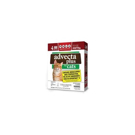 b01c47qgpe Advecta II Tratamiento de pulgas, suministro de 4 meses-mascotascapitan-PerrosExpand child menu