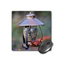 b00um9hbtm Northern Cardinal On Cobre linterna tolva alimentador de aves, Marion Co. IL – Alfombrilla de mouse, 8 por 8 inches (