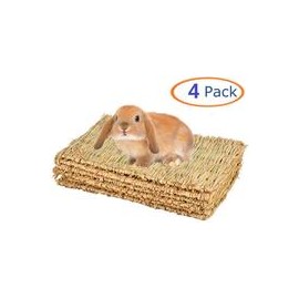 b07y1kd3lm Alfombrilla de césped para conejo, juguete para masticar, tejido para cobaya, chinchilla, ardilla, hámster, rata, gat