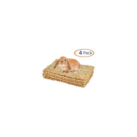 b07y1kd3lm Alfombrilla de césped para conejo, juguete para masticar, tejido para cobaya, chinchilla, ardilla, hámster, rata, gat