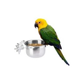 b06xrrdfy4 Pet Bird Alimentos Alimentación y agua potable Hanging Cup Acero Inoxidable Coop Colgador para Parrot Cage Budgie-mas
