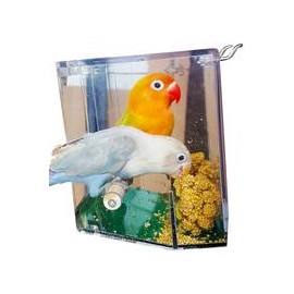 b07ynvrrck Birds Love - Bandeja para pájaros (renovada)-mascotascapitan-PerrosExpand child menu