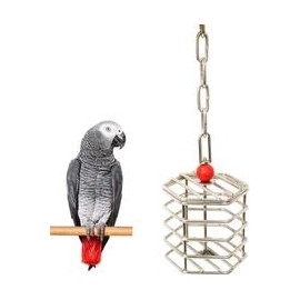 b07qj4smnd Wontee - Comedero para pájaros de acero inoxidable con forma de loro, juguete para pájaros con bloques para pájaros, 