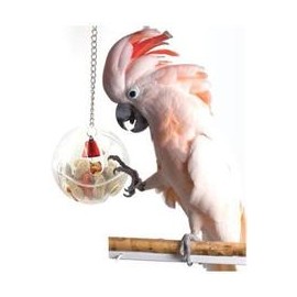 b07bshzb14 Difunisea Parrot Foraging Systems Foraging Wheel -Hapaus for Parrot Macaw African Greys Budgies Parakeet Cockatiel Co