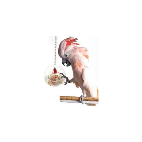 b07bshzb14 Difunisea Parrot Foraging Systems Foraging Wheel -Hapaus for Parrot Macaw African Greys Budgies Parakeet Cockatiel Co