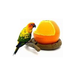 b07kwq4jhx Pxlucky - Comedero para pájaros, cuenco para comida de pájaros, taza para loros pequeños, cacatúas, hámster, pequeño 