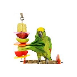 b06xgsf6zw rypet brochetas de pájaros, aves y animales pequeños soporte frutas y verduras de acero inoxidable para jaulas-mascot