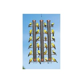 b00o2a2sq8 Songbird Essentials Cobre Acabado Finches Favorite Tubo de 3 pájaros se324 C-mascotascapitan-PerrosExpand child menu