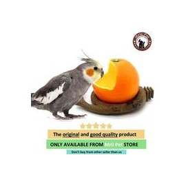 b06zzbqjf7 Aves Alimentador Bowl, Comida para pájaros con tazón Feed Copa para pequeños loros Cockatiels Conure hámster animal p