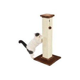 b07g3t7dvm AmazonBasics rascador y hamaca para gatos-mascotascapitan-PerrosExpand child menu