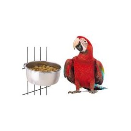 b07hslf51g BWOGUE comedero de pájaros con abrazadera de acero inoxidable para alimentos y agua, para cacatúas, conuras, periquit