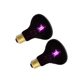 b083fh7g9h Aomryom - Bombilla de calor para reptiles y anfibios, 75 W, 2 unidades-mascotascapitan-PerrosExpand child menu