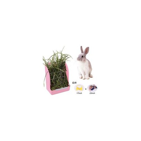 b07s7tg995 Zdada - Comedero de conejo para interiores y exteriores, color rosa, comedero de heno para animales pequeños con el r