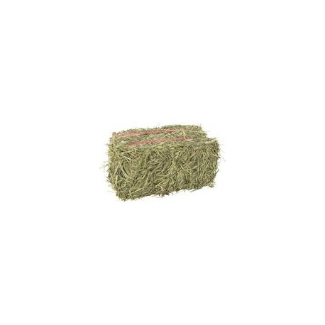 b079qhp7pl Grandpa's Best Timothy Heno Mini Bale-mascotascapitan-PerrosExpand child menu