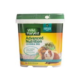 b00n4v2fq4 Wild Harvest wh-83545 Wild Harvest Advanced Nutrition dieta para conejillos de Indias, 4.5-pound-mascotascapitan-Perr