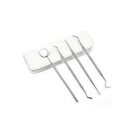 b06xgzq7zk bwogue Diente escalador Herramientas Kit (perfecto para gatos y perros) – 6.8 inch doble cabecera Tarter Remover/Rasc