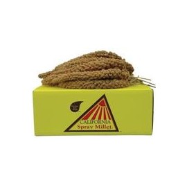 b005ocxj48 California dorado Spray mijo para pájaros – criador especial-mascotascapitan-PerrosExpand child menu