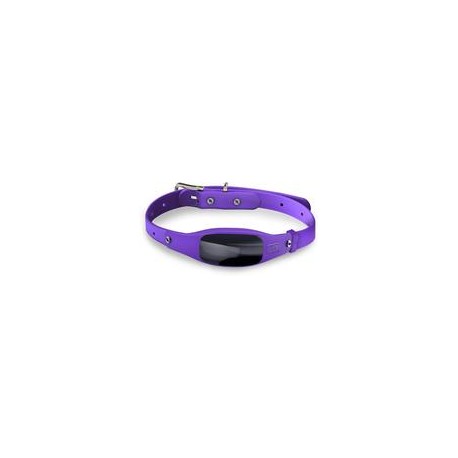 b076kvqsqg Black+Decker - Collar inteligente para perro, rastreador GPS, audio de 2 vías, resistente al agua-mascotascapitan-Per