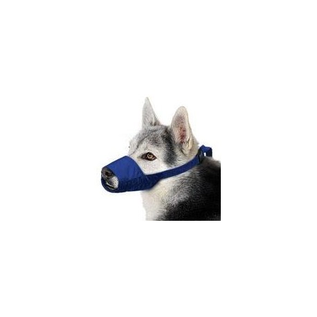 b000ikjwyc Cuatro banderas grandes, Quick Bozzle, color azul-mascotascapitan-PerrosExpand child menu