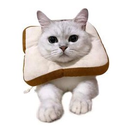 b07wrbxyjp USAMS Collar ajustable para recuperación de gatos, lindo cono de cuello después de la cirugía, curación de heridas, r