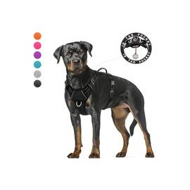 b07ytqxwps BARKBAY - Arnés para perro con clip frontal y asa de fácil control-mascotascapitan-PerrosExpand child menu
