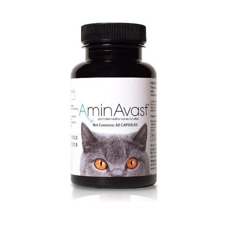 b075fc55fc AminAvast Suplemento de apoyo renal para gatos y perros, 300 mg, promueve y apoya la función natural del riñón, 60 cá