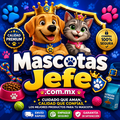 Mascotas Jefe - Todo para mascotas